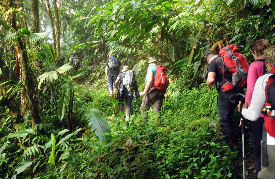 Why visit the  Jungle?, FAQ, Hiking