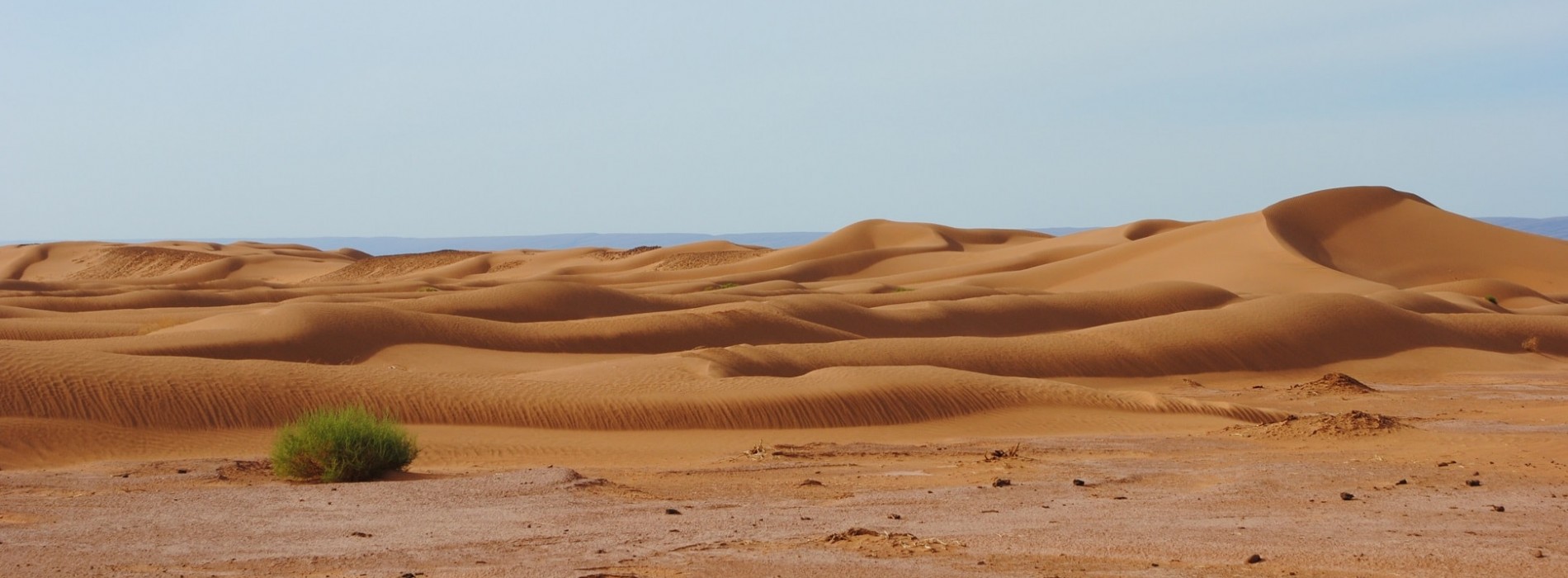 sahara desert pictures printable