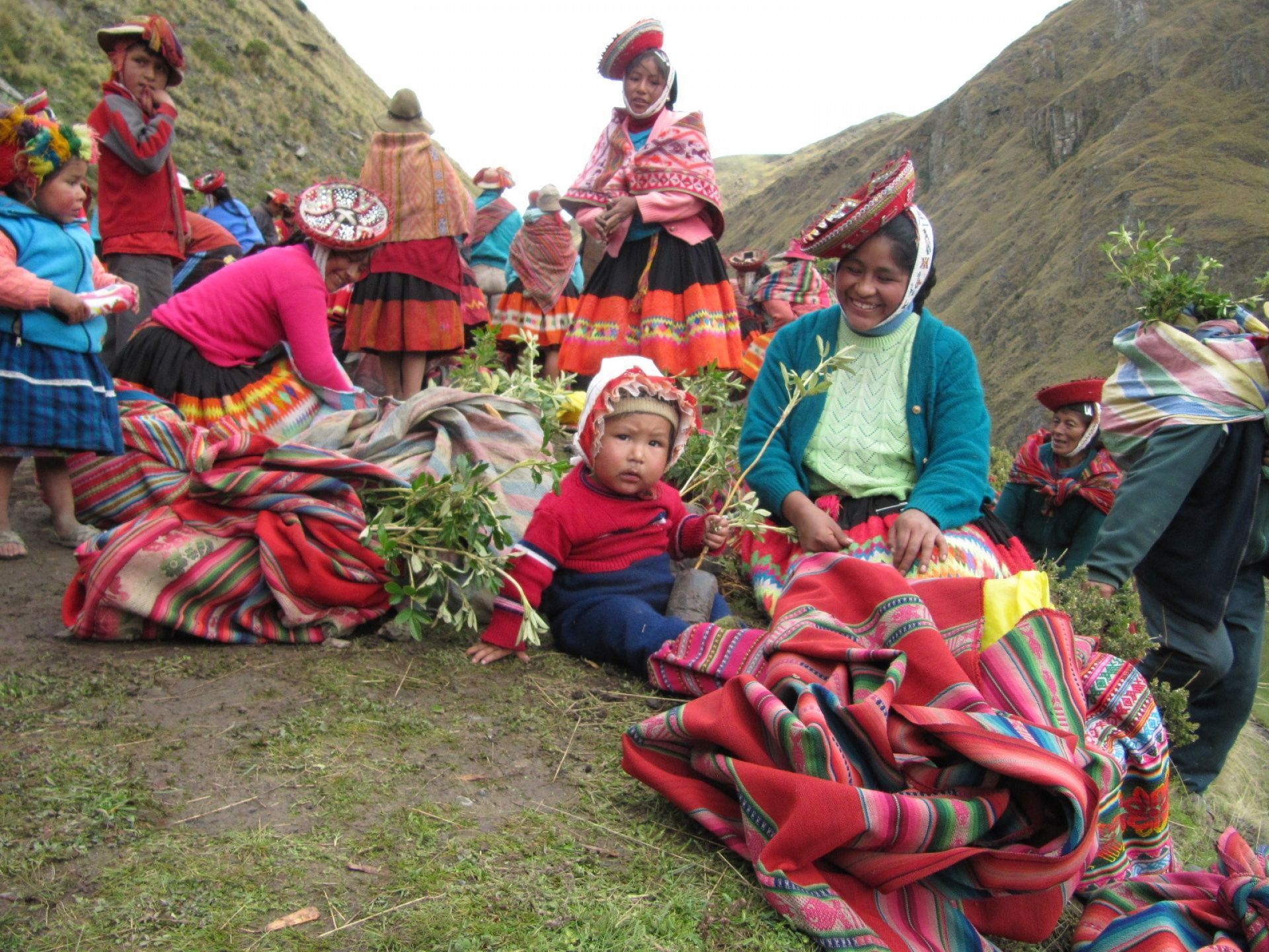 We&#039;ve helped to plant 67,000 trees in Peru